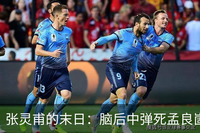 张灵甫的末日：脑后中弹死孟良崮，蒋介石悲伤不已，陈毅下令安葬